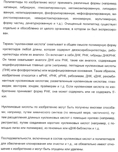 Иммунизация против менингококков серогруппы y с помощью белков (патент 2378009)