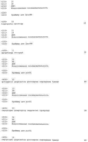 Микроорганизмы corynebacterium с повышенной продукцией 5&#39;- инозиновой кислоты и способ получения нуклеиновых кислот с их использованием (патент 2482178)