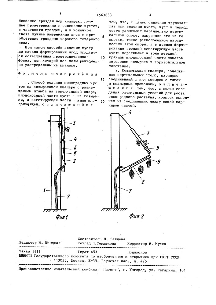Способ ведения виноградных кустов на козырьковой шпалере и козырьковая шпалера (патент 1563633)