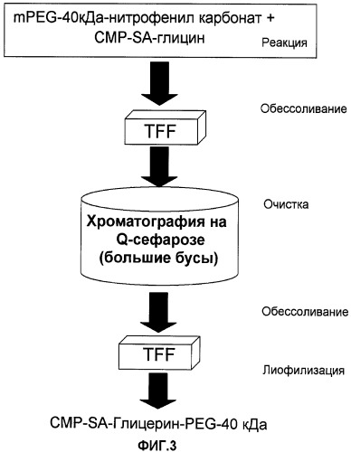 Глицерин-связанные пэгилированные сахара и гликопептиды (патент 2460543)