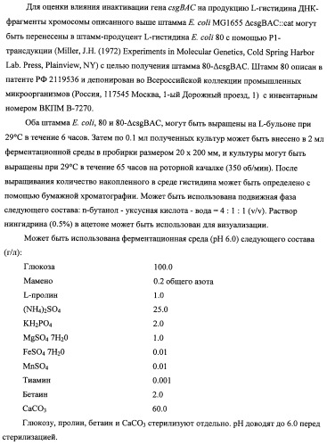 Способ получения l-треонина с использованием бактерии, принадлежащей к роду escherichia, модифицированной таким образом, что в ней нарушена способность к образованию ворсинок типа &quot;керли&quot; (патент 2338782)