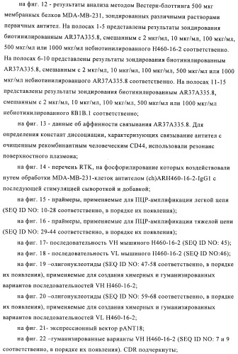 Химерные и гуманизированные антитела к cd44, которые опосредствуют цитотоксичность в отношении раковых клеток (патент 2487723)