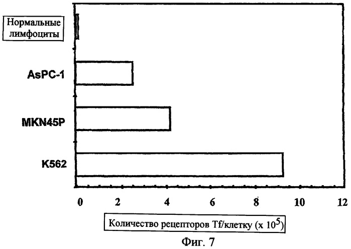 Новые композиции липосом (патент 2454229)