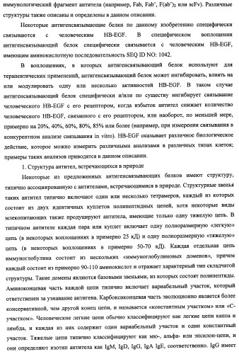 Белки, связывающие антиген фактор роста, подобный гепаринсвязывающему эпидермальному фактору роста (патент 2504551)