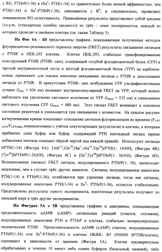 Способы скрининга с применением g-белок сопряженных рецепторов и родственных композиций (патент 2506274)