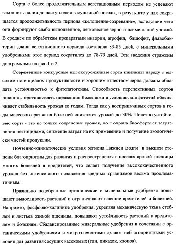 Способ возделывания яровой пшеницы предпочтительно в зоне светло-каштановых почв нижнего поволжья (варианты) (патент 2348137)