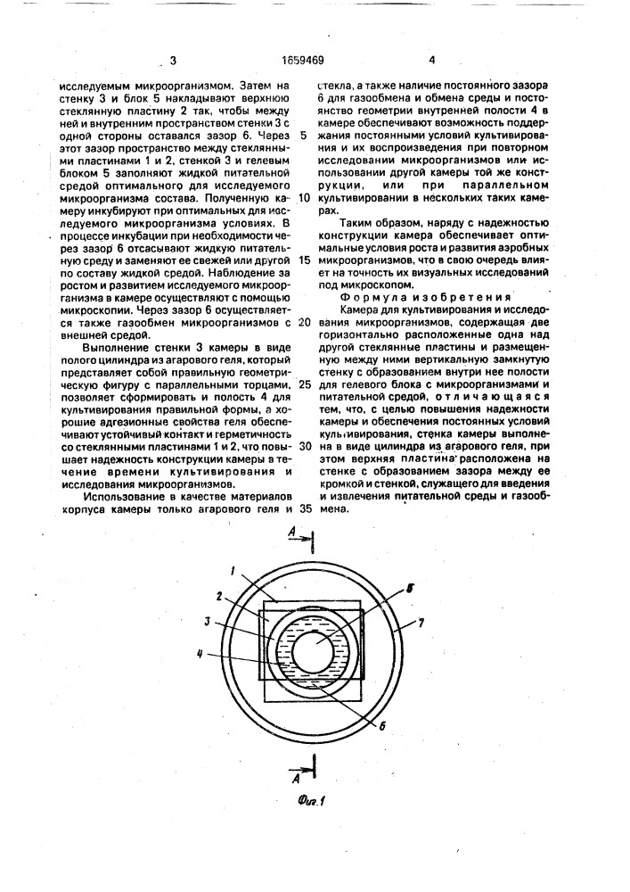 Камера для культивирования и исследования микроорганизмов (патент 1659469)