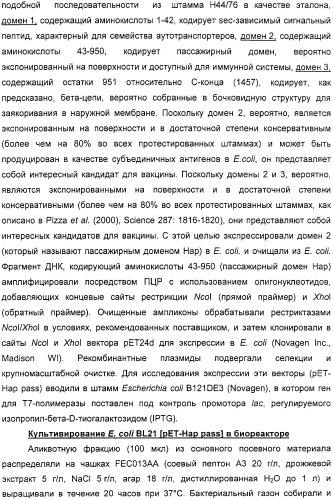 Нейссериальные вакцинные композиции, содержащие комбинацию антигенов (патент 2317106)