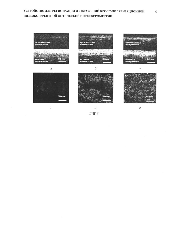 Устройство для регистрации изображений кросс-поляризационной низкокогерентной оптической интерферометрии (патент 2615035)