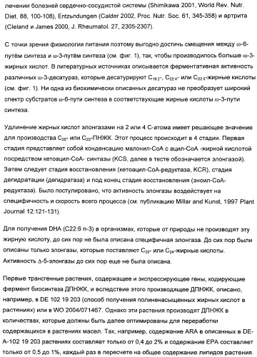 Способ получения полиненасыщенных жирных кислот в трансгенных растениях (патент 2449007)