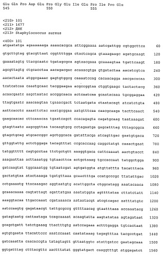 Иммуногенные композиции антигенов staphylococcus aureus (патент 2536981)