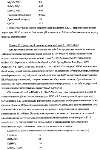 Способ получения l-треонина с использованием бактерии, принадлежащей к роду escherichia, в которой инактивирован кластер генов sfmacdfh-fimz или ген fimz (патент 2333953)