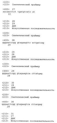 Трансгенные копытные животные, имеющие пониженную активность прионного белка, и их применения (патент 2384059)