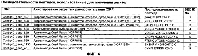 Вакцины и компоненты вакцин для подавления микробных клеток (патент 2528854)