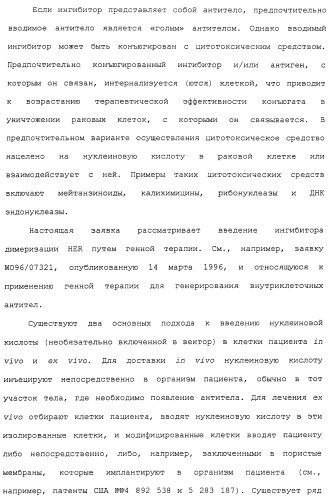 Продление времени до прогрессирования заболевания или продолжительности жизни у онкологических больных с применением ингибиторов димеризации her (патент 2404806)