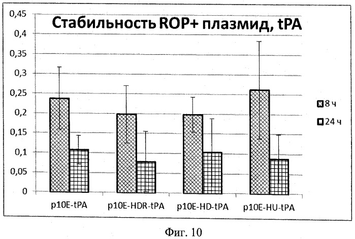 Плазмидный вектор phyp с повышенной сегрегационной стабильностью для экспрессии рекомбинантного белка, бактерия - продуцент предшественника рекомбинантного белка и способ получения рекомбинантного белка (патент 2496877)