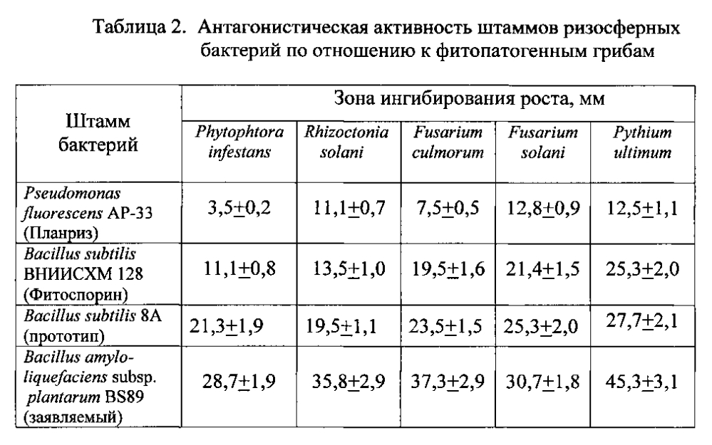 Штамм бактерий bacillus amyloliquefaciens subsp. plantarum bs89 в качестве средства повышения продуктивности растений и их защиты от болезней (патент 2599416)