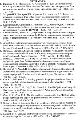 Мутантный штамм burkholderia cepacia km196, дефектный по продукции порина opcp1, для исследования молекулярных механизмов множественной резистентности к антибиотикам у патогенных буркхольдерий (патент 2458117)