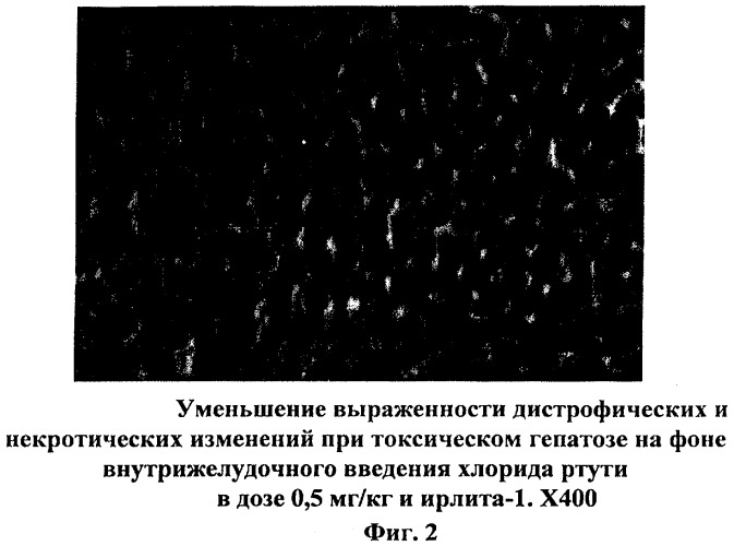 Способ профилактики токсического действия ртути у экспериментальных животных при хроническом отравлении (патент 2311182)