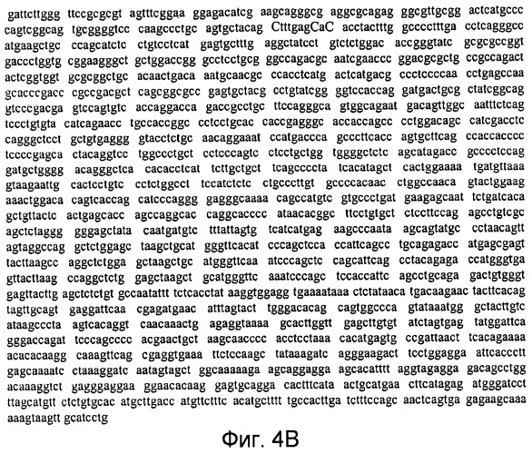 Способы выявления воспалительного заболевания кишечника (патент 2502806)