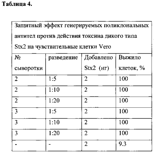 Нетоксичный рекомбинантный шига токсин 2-го типа (stx2) (патент 2573924)