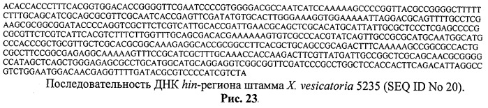 Способ идентификации и дифференциации прокариотических организмов (патент 2486251)