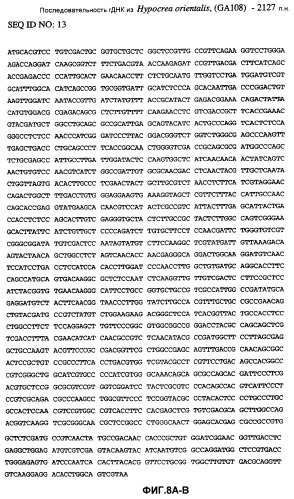 Глюкоамилаза trichoderma reesei и ее гомологи (патент 2394101)