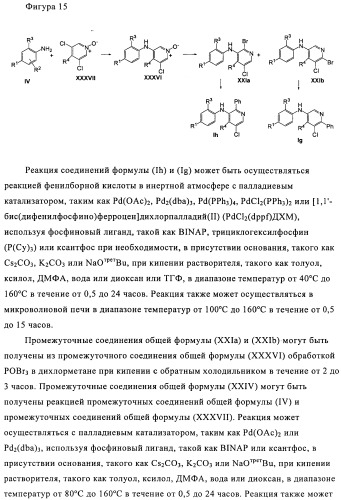 Производные азабифениламинобензойной кислоты в качестве ингибиторов dhodh (патент 2481334)