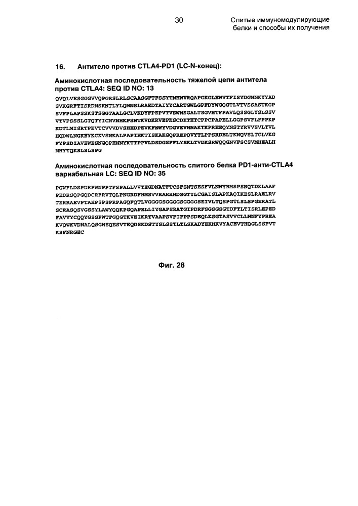 Слитые иммуномодулирующие белки и способы их получения (патент 2662991)