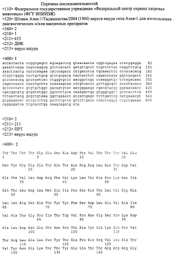 Штамм азия-1/таджикистан/2004(1960) вируса ящура типа азия-1 для изготовления диагностических и/или вакцинных препаратов (патент 2297452)