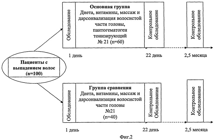 Способ лечения алопеции (патент 2406512)