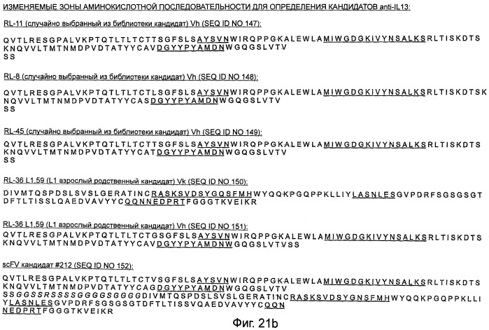 Новые анти-il 13 антитела и их использование (патент 2487887)