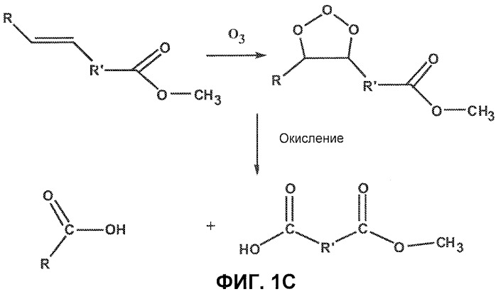 Реакции озонолиза в жидком co2 и растворителях, расширенных co2 (патент 2446004)