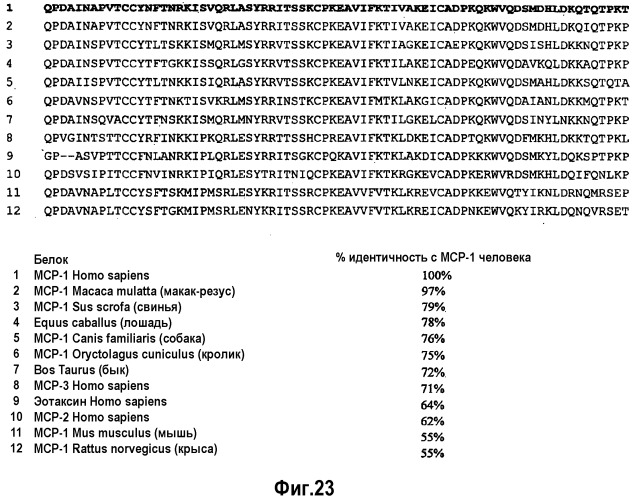 Связывающая мср-1 нуклеиновая кислота и ее применение (патент 2542973)