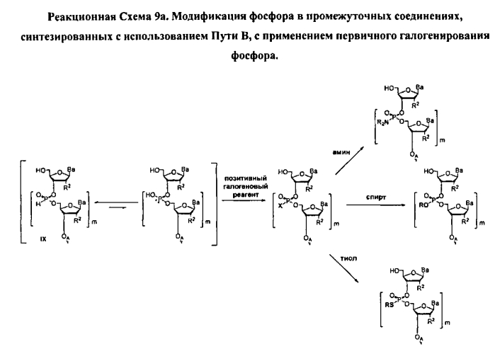 Способ синтеза модифицированных по атому фосфора нуклеиновых кислот (патент 2572826)