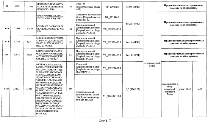 Бактериофаг, обладающий активностью против pseudomonas aeruginosa, белки бактериофага и способы их применения (патент 2580248)