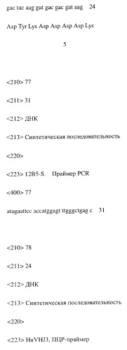 Модифицированное агонистическое антитело (патент 2295537)