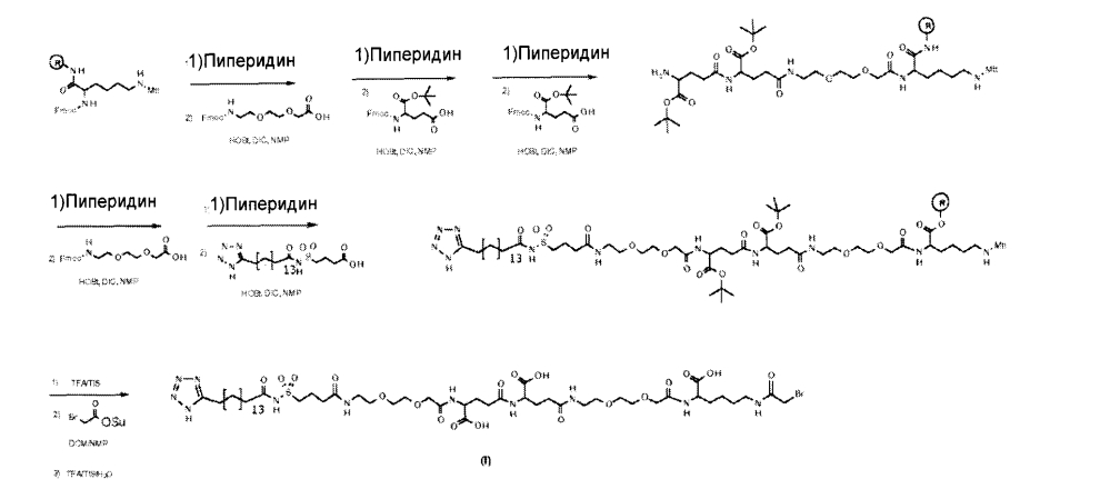 Гормоны роста с пролонгированной эффективностью in vivo (патент 2605627)