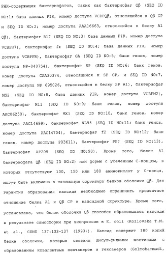 Композиции, содержащие cpg-олигонуклеотиды и вирусоподобные частицы, для применения в качестве адъювантов (патент 2322257)