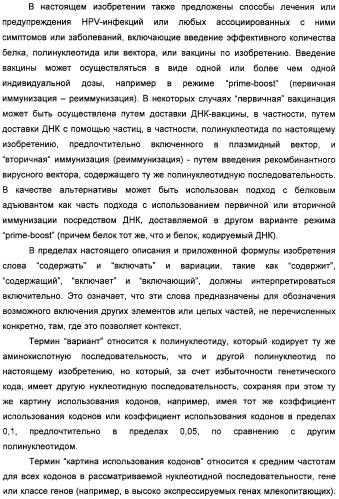 Полинуклеотидная последовательность, кодирующая полипептид вируса папилломы человека, ее применение, а также содержащие ее вектор и фармацевтическая композиция (патент 2354701)