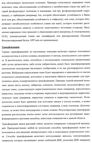 Растения, имеющие улучшенные характеристики роста, и способы их получения (патент 2463352)