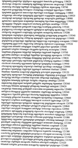 Модуляция экспрессии гентингтина (патент 2562861)
