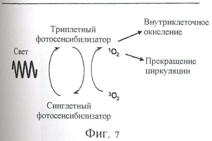 Способ фотодинамической терапии для лечения целлюлитов и косметического использования (патент 2444385)