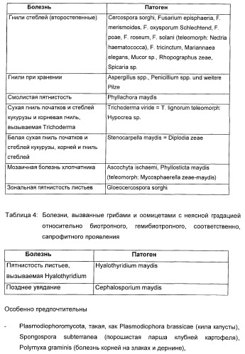 Способ повышения стойкости к стрессовым факторам в растениях (патент 2375452)