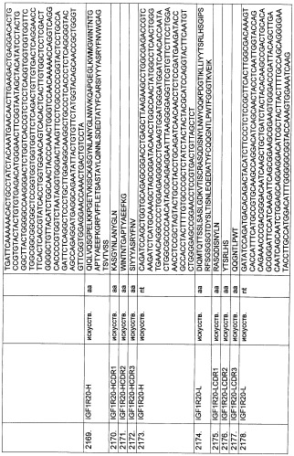 Pscaxcd3, cd19xcd3, c-metxcd3, эндосиалинxcd3, epcamxcd3, igf-1rxcd3 или fap-альфаxcd3 биспецифическое одноцепочечное антитело с межвидовой специфичностью (патент 2547600)