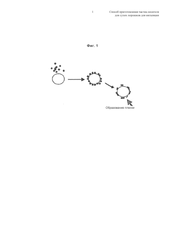 Способ приготовления частиц носителя для сухих порошков для ингаляции (патент 2585101)