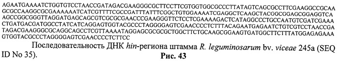 Способ идентификации и дифференциации прокариотических организмов (патент 2486251)