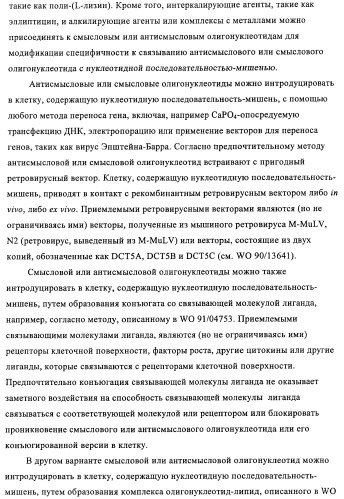 Композиции и способы диагностики и лечения опухоли (патент 2430112)