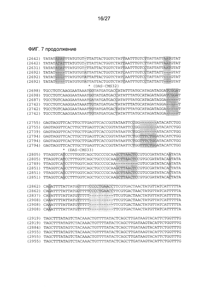 Ген-восстановитель rf4 для цитоплазматической мужской стерильности (cms) c-типа кукурузы, молекулярные маркеры и их применение (патент 2603005)