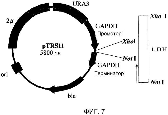 Способ получения сахарного раствора (патент 2516792)